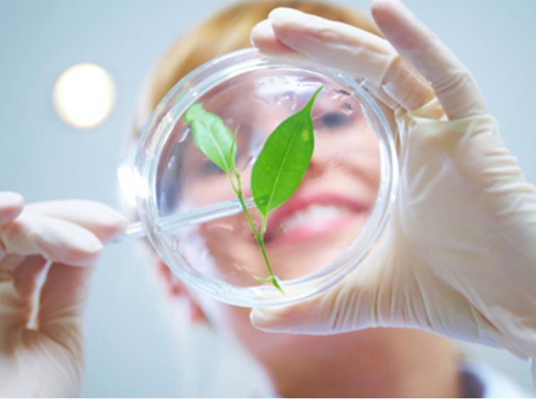 Laboratoires Expanscience
