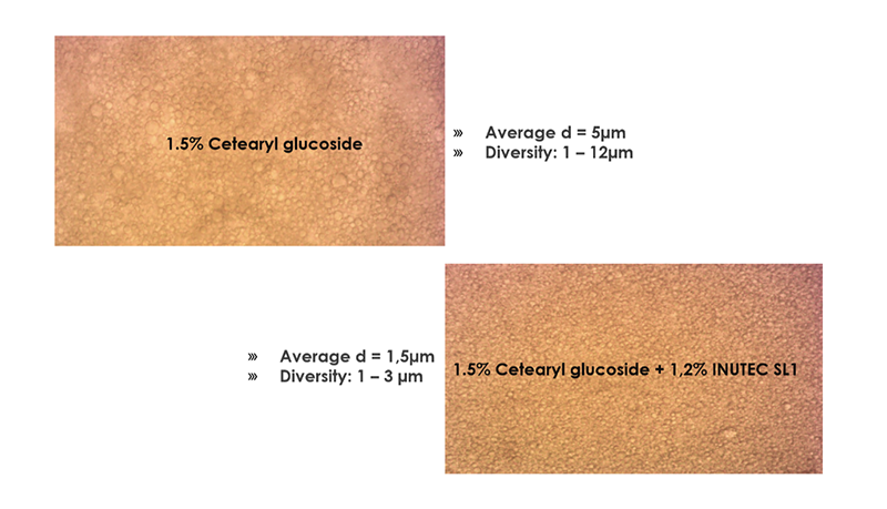 For 20 years Inutec SL1 stabilises your emulsion when all other options let you down